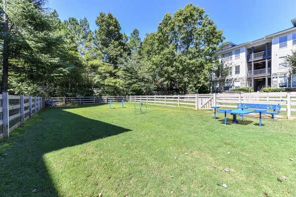 Spacious dog park with agility equipment at Avana Ridenour Apartments
