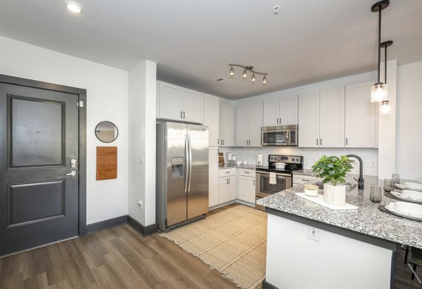 kitchen at The Mint 425 Apartments