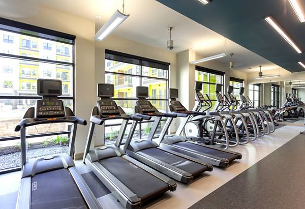fitness center at Azul Lakeshore Apartments