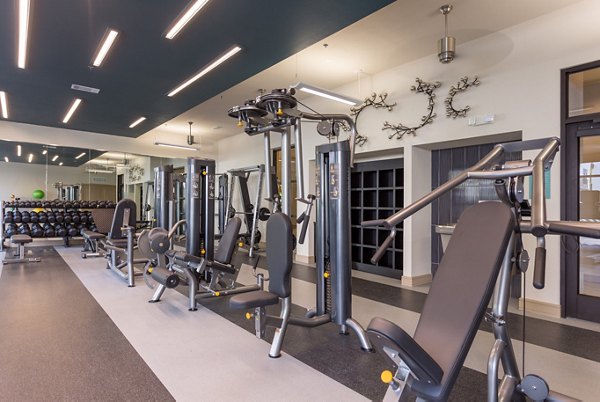 State-of-the-art fitness center at Azul Lakeshore Apartments offering modern equipment for an enhanced workout experience