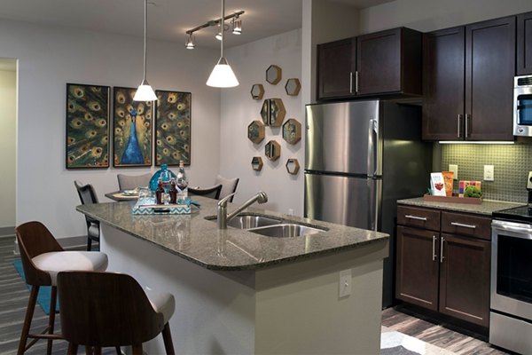 kitchen at Savannah Oaks Apartments