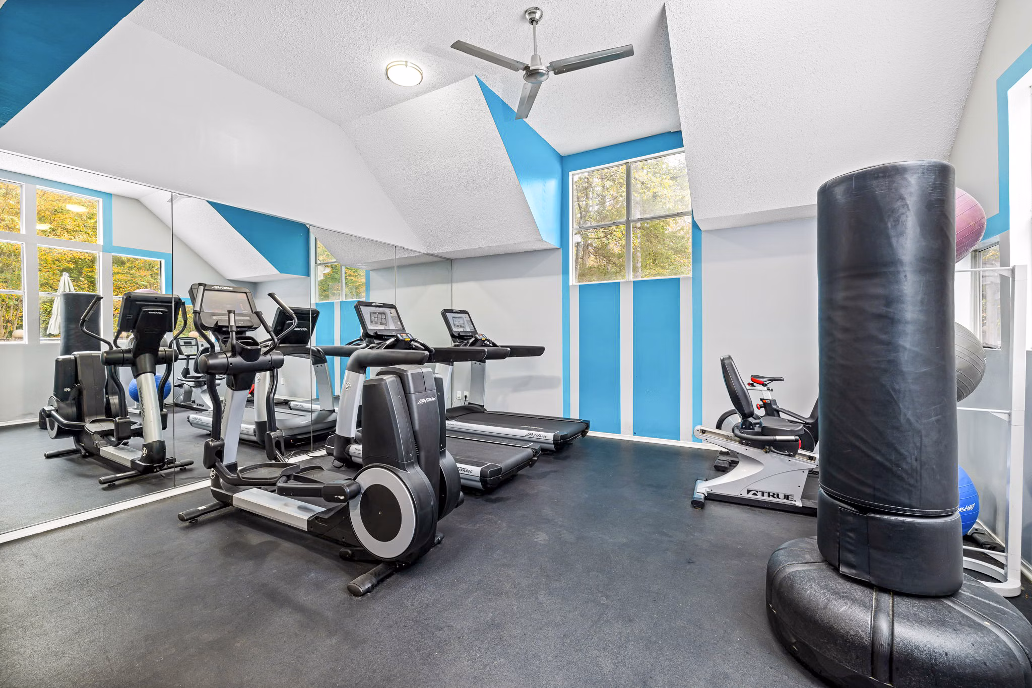 State-of-the-art fitness center with modern equipment at Hamilton Ridge Apartments