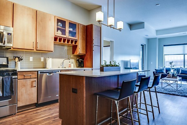 Modern kitchen with stainless steel appliances at The Island Residences at Carlson Center Apartments