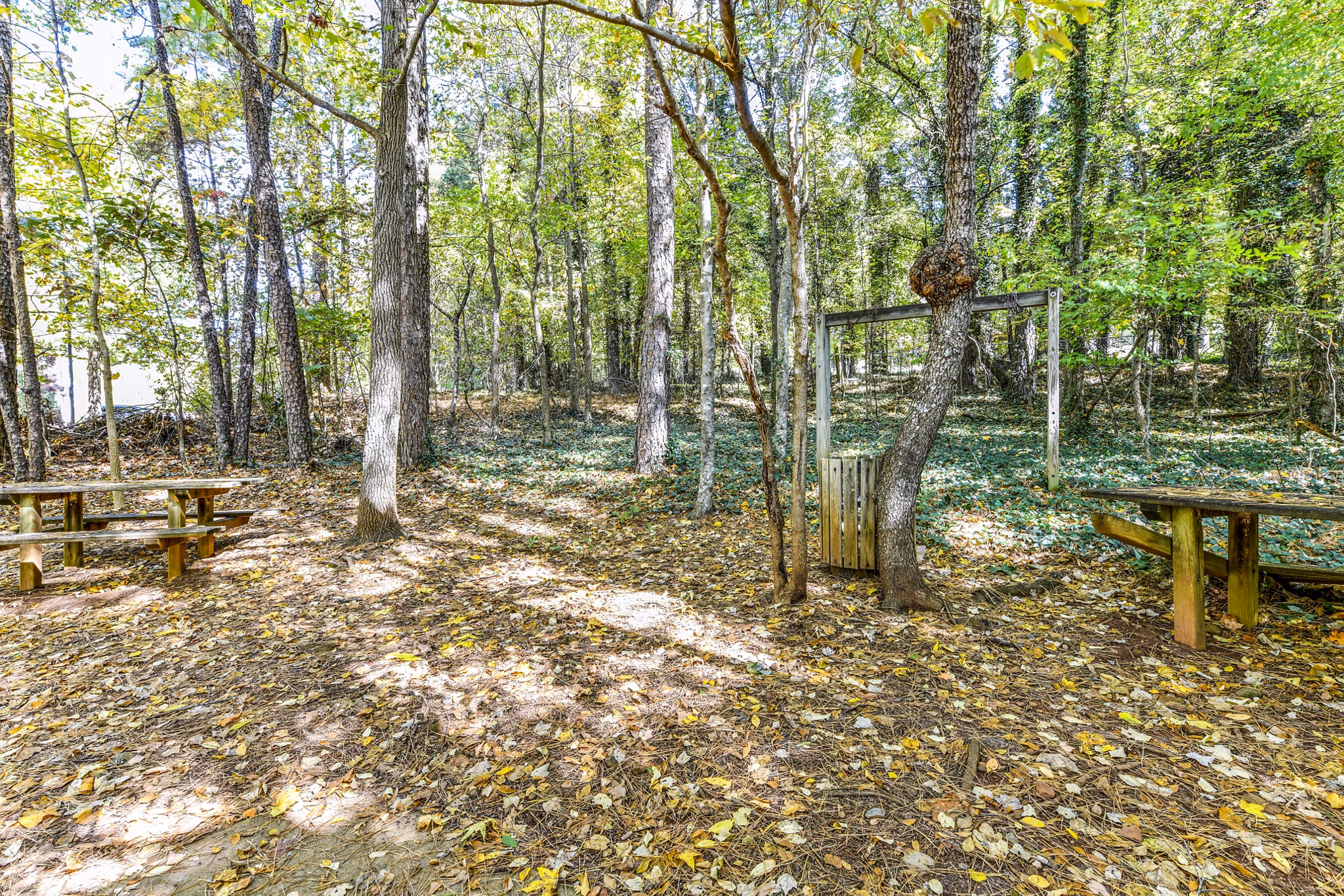 Hiking trail at Avana Kennesaw Apartments: Serene path through wooded landscape ideal for outdoor enthusiasts