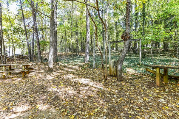 Hiking trail at Avana Kennesaw Apartments: Serene path through wooded landscape ideal for outdoor enthusiasts