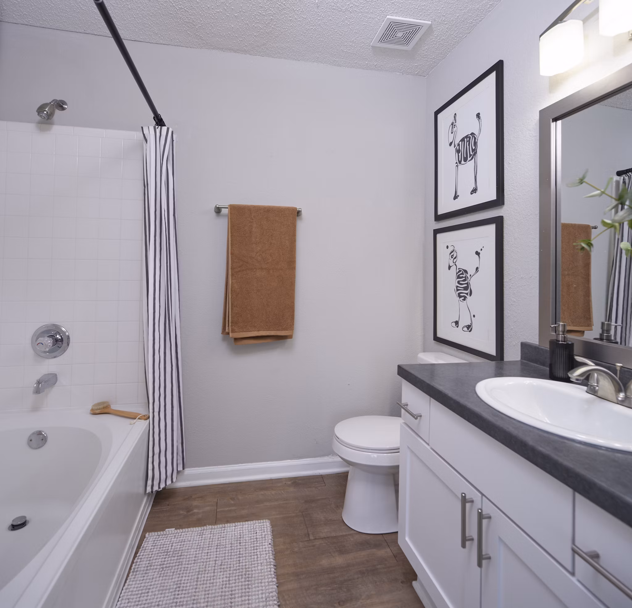 rendering at Avana Kennesaw Apartments