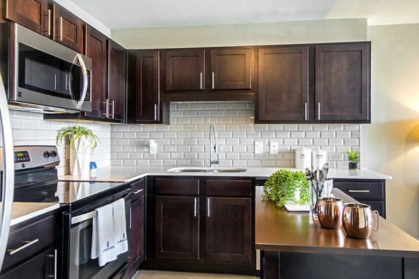 Modern kitchen with stainless steel appliances at The Cabochon at River Oaks Apartments