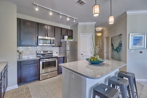 Atlantic at Parkridge Apartments: Modern kitchen with sleek countertops and stainless steel appliances