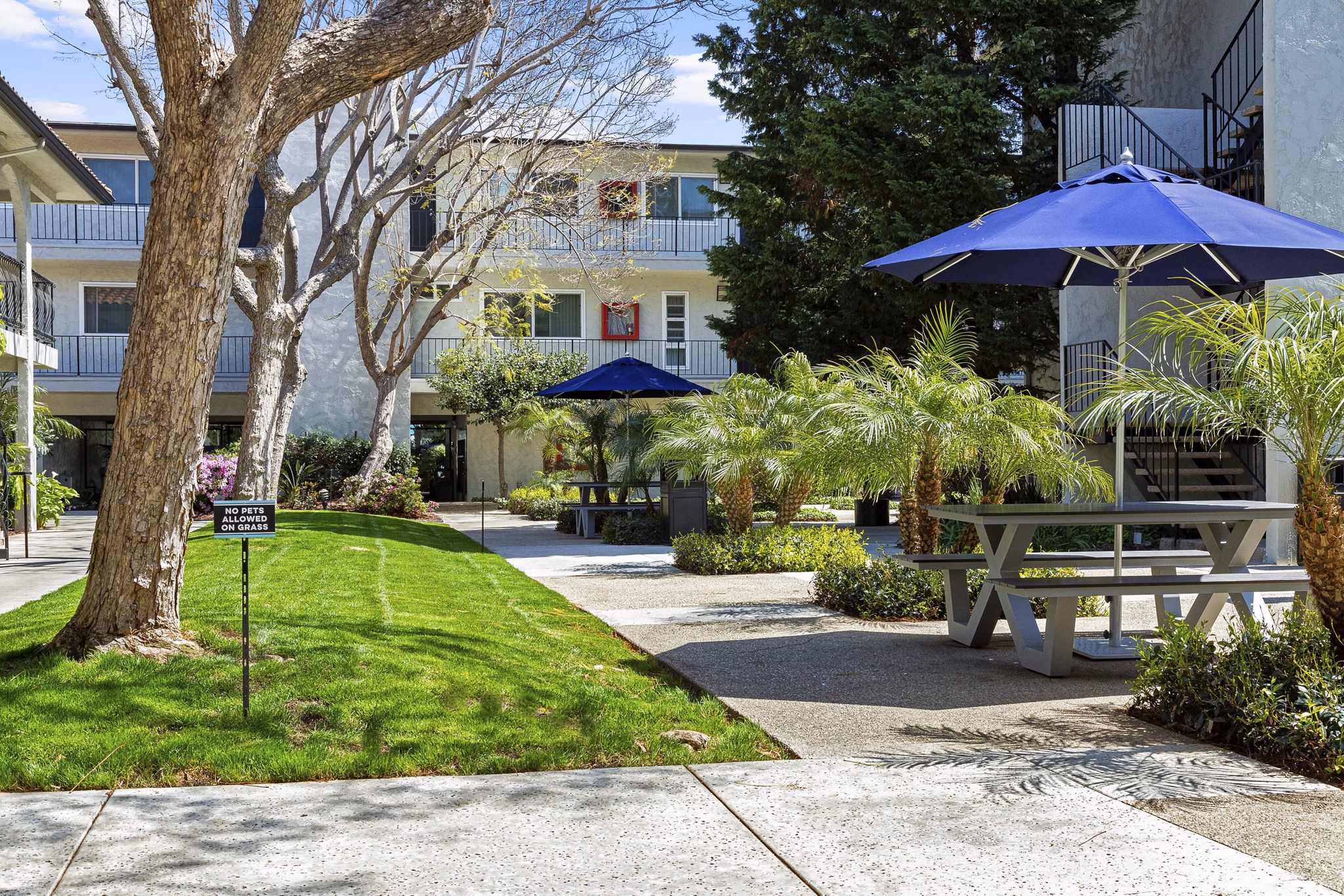 grill area Madrid Apartments