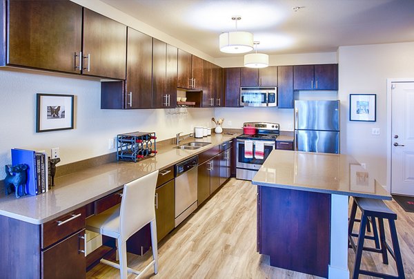 Modern kitchen with stainless steel appliances at RockVue Apartments, a Greystar luxury community