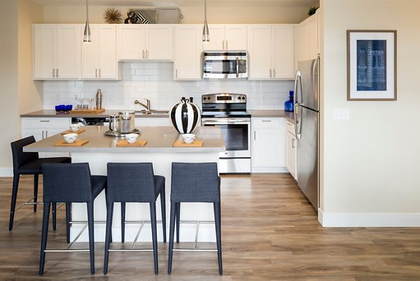 Modern kitchen with stainless steel appliances at Pearl DTC Apartments, offering luxury living in a premier location