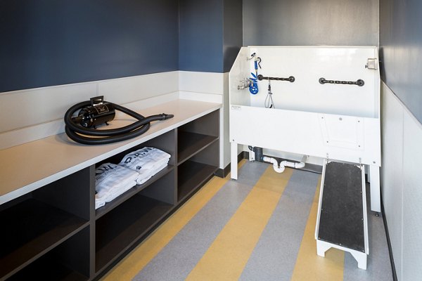 Dog wash station with stainless steel fixtures at Pearl DTC Apartments, a luxury community offering pet-friendly amenities