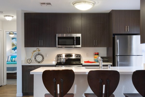 Modern kitchen featuring stainless steel appliances and sleek cabinetry in The U Apartments
