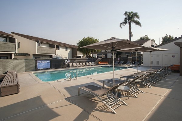 Summer vibes at the luxury pool with lounge chairs and greenery at Sheridan Park Apartments, perfect for relaxation and recreation