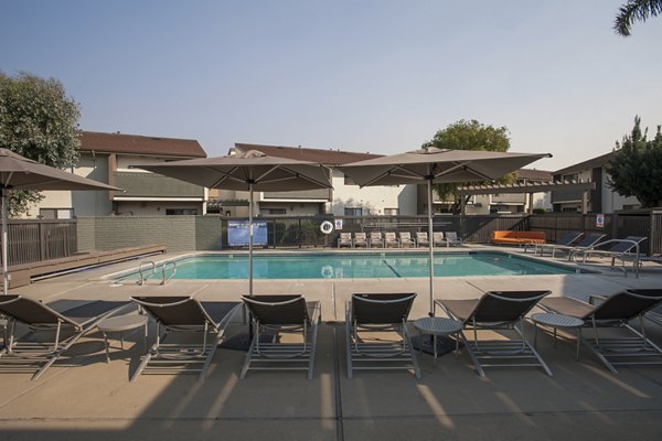 Infinity-edge pool at Sheridan Park Apartments