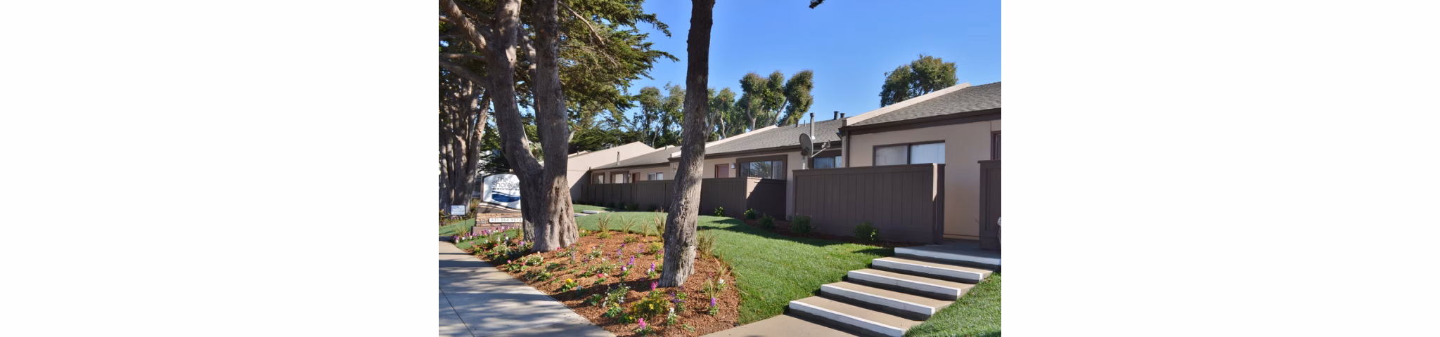 Shoreline Apartments: Contemporary oceanside luxury apartments in coastal community