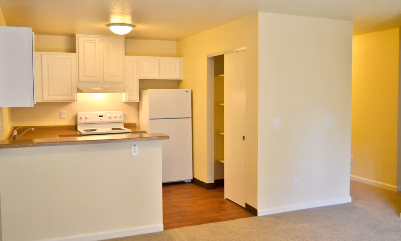 Modern kitchen with stainless steel appliances at Shoreline Apartments, offering luxury living by Greystar