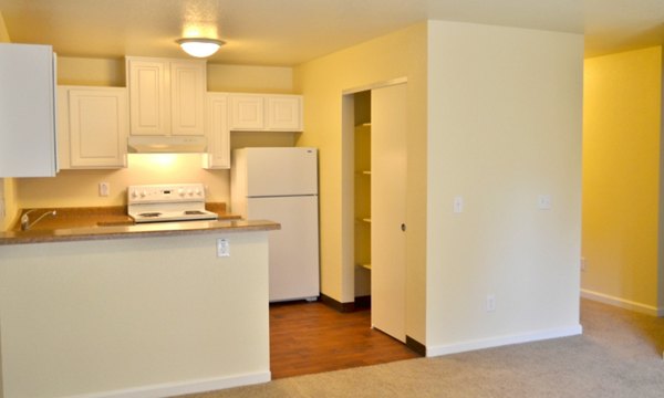 Modern kitchen with stainless steel appliances at Shoreline Apartments, offering luxury living by Greystar