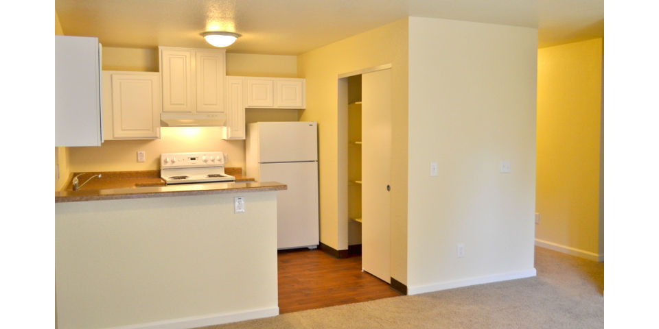 Modern kitchen with stainless steel appliances at Shoreline Apartments, offering luxury living by Greystar