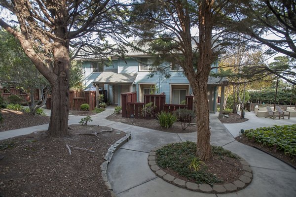 Pacific Vista Apartments: Scenic modern view of luxury apartments in San Francisco
