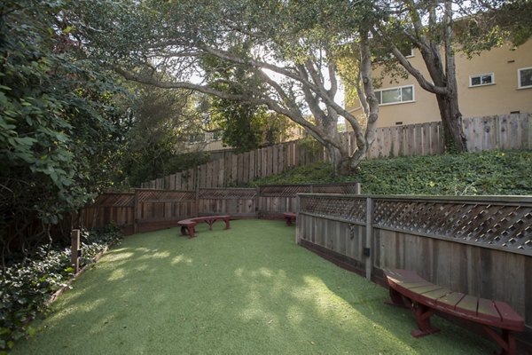 Off-leash dog park with agility equipment at Pacific Vista Apartments