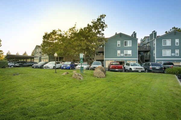 dog park at Waterscape Apartments