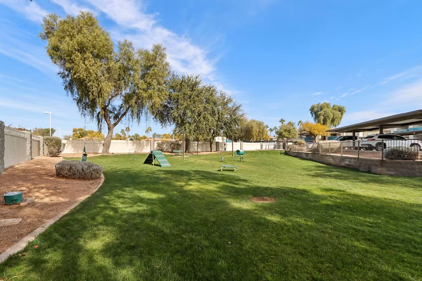 dog park at Envision Apartments