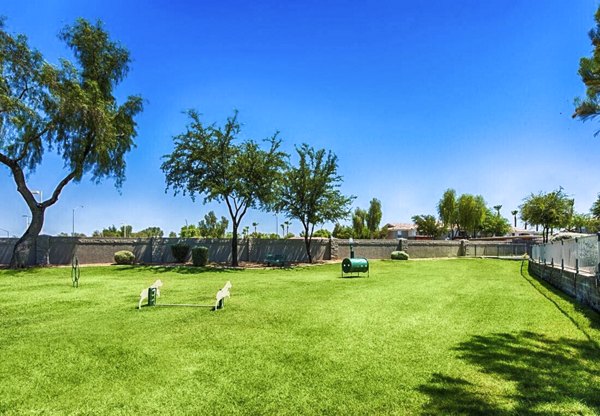 Envision Apartments: Off-leash dog park with agility equipment in urban setting