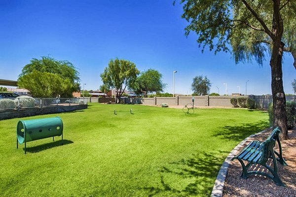 Dog-friendly area with agility equipment at Envision Apartments