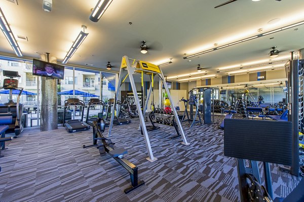 fitness center at Elan Memorial Park Apartments