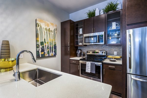 Elan Memorial Park: Modern kitchen with stainless steel appliances in luxury apartments