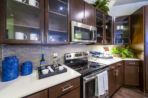 Modern kitchen featuring sleek countertops and stainless steel appliances in Elan Memorial Park Apartments