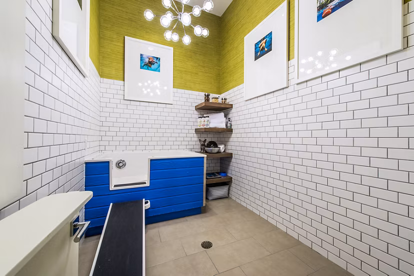Modern dog wash station at Elan Memorial Park Apartments, designed for convenience and pet care