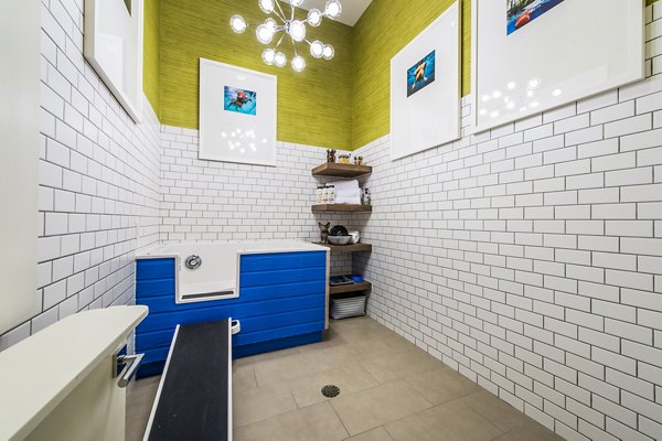 Modern dog wash station at Elan Memorial Park Apartments, designed for convenience and pet care