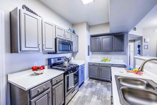 Modern kitchen with stainless steel appliances at Tesoro Ranch Apartments