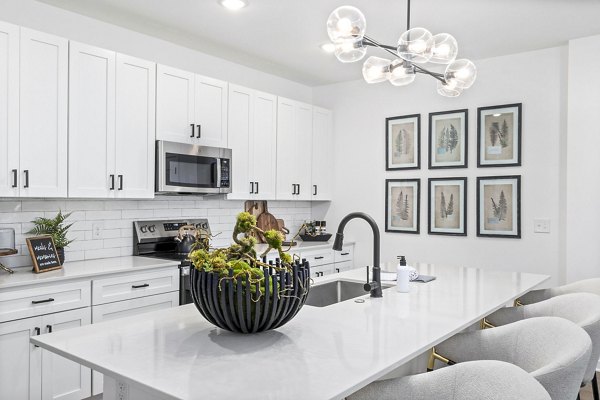 kitchen at District Lofts Apartments