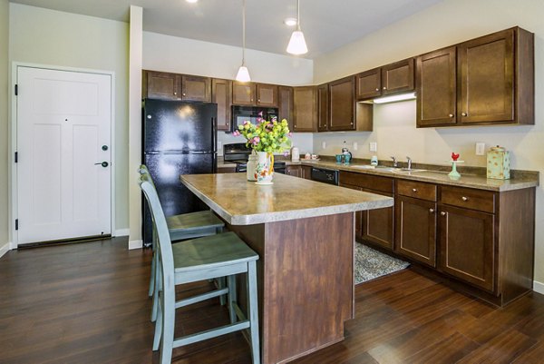 Modern kitchen featuring stainless steel appliances in South Ridge Apartments