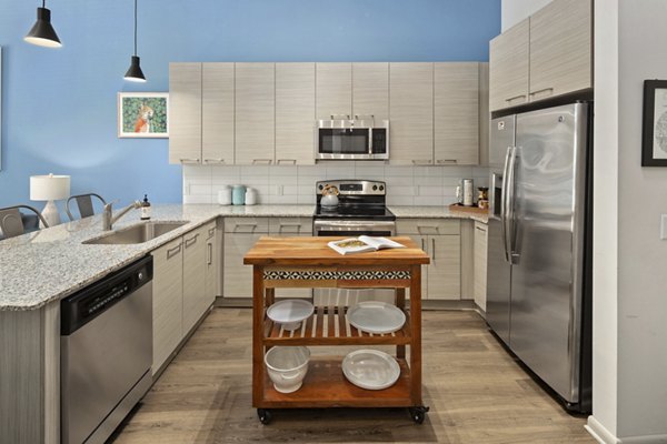 kitchen at 1133 on the Square Apartments