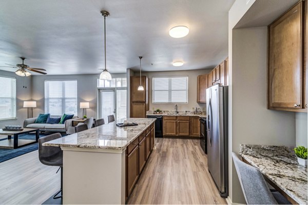Modern kitchen with stainless steel appliances at Overture Ridgmar Apartments