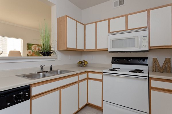 Modern kitchen with sleek countertops and stainless-steel appliances at The Ravinia Apartments