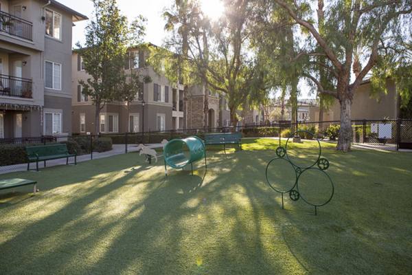 dog park at The Heights at Chino Hills Apartments