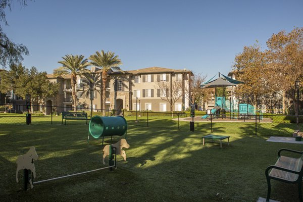 Dog park with agility equipment at The Heights at Chino Hills Apartments, perfect for pet-friendly luxury apartment living