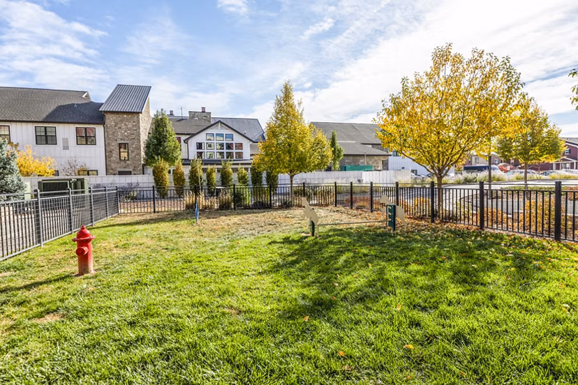 Dog-friendly park at Overture Central Park Apartments featuring pet-safe facilities and green spaces