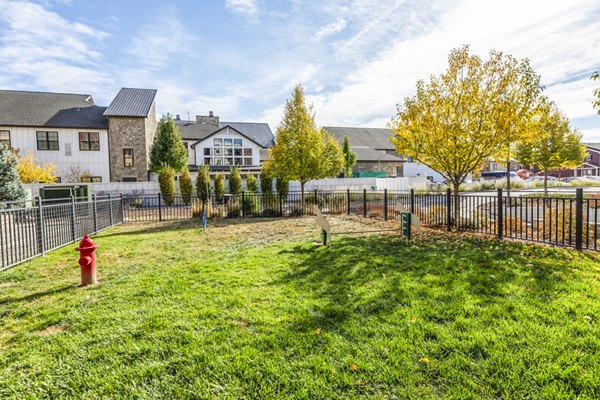Dog-friendly park at Overture Central Park Apartments featuring pet-safe facilities and green spaces