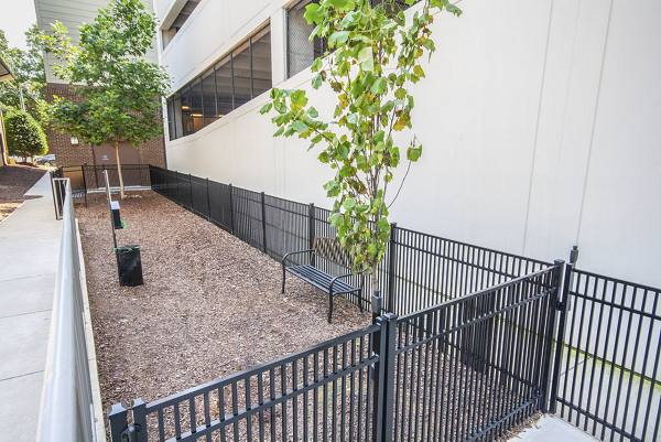 dog park at 1010 Dilworth Apartments