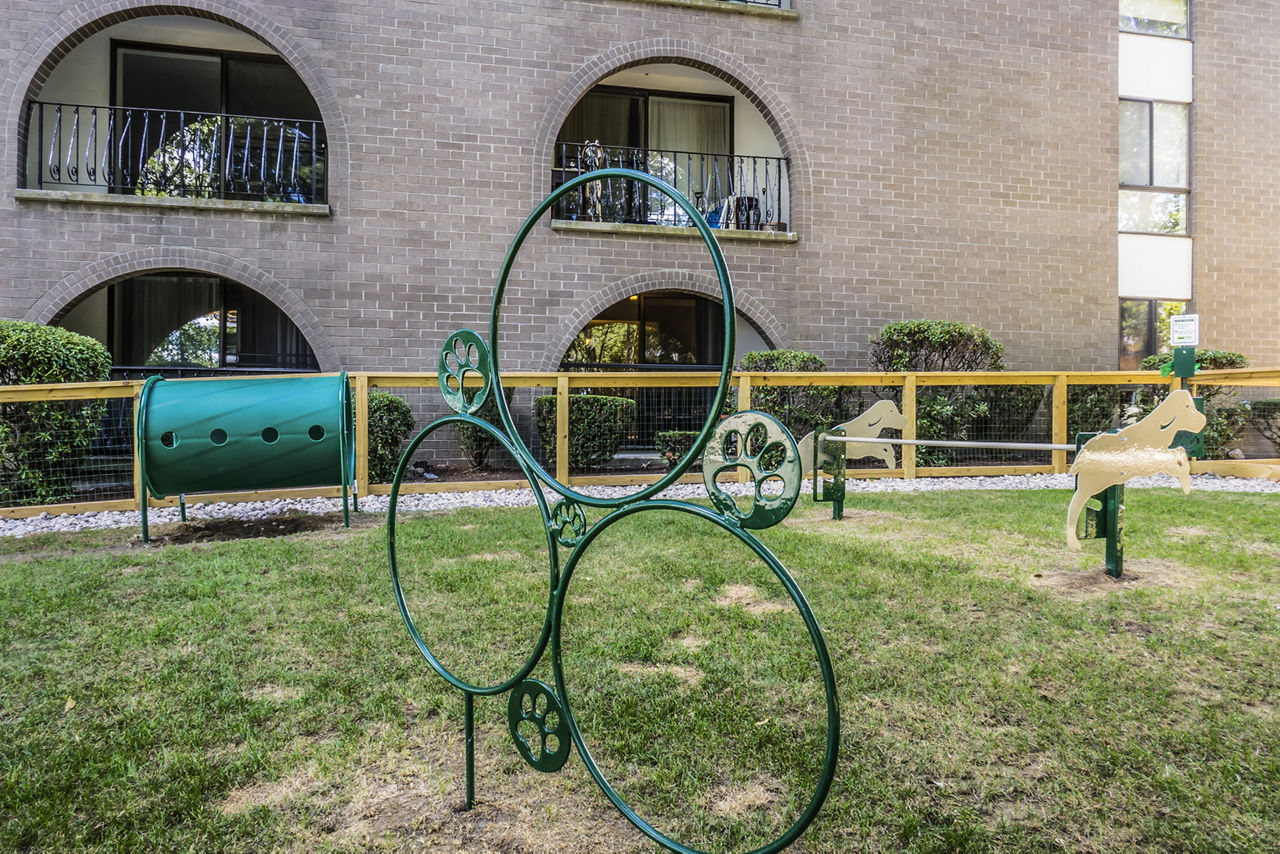 Dog park at Avana Weymouth Apartments