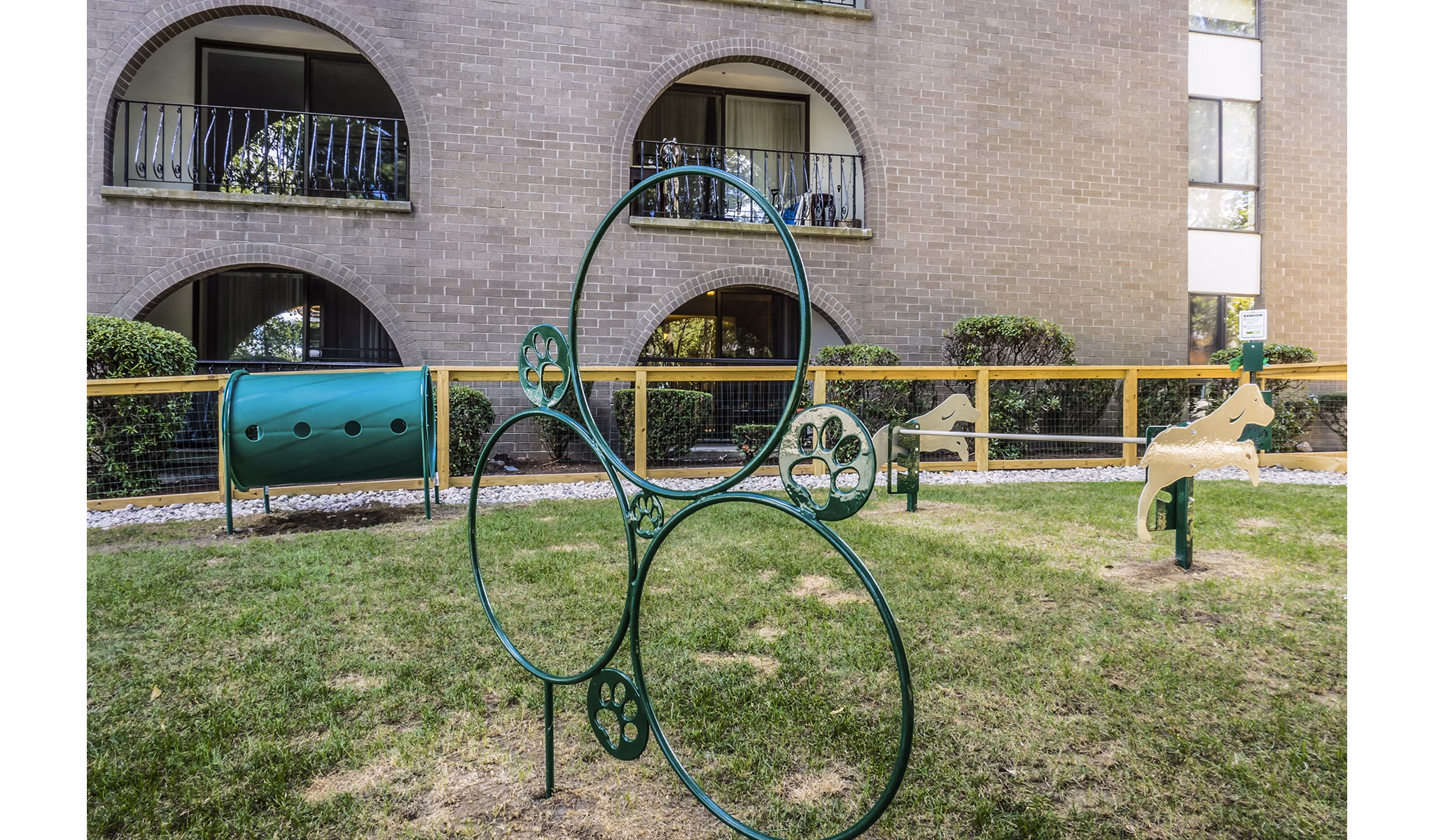 Green outdoor dog park at Avana Weymouth Apartments, featuring agility equipment and lush landscaping for pet-friendly fun