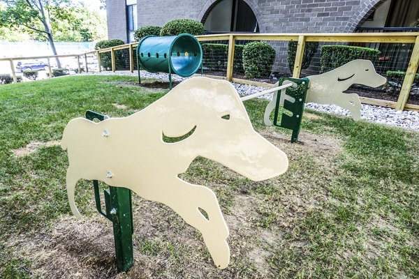 dog park at Avana Weymouth Apartments