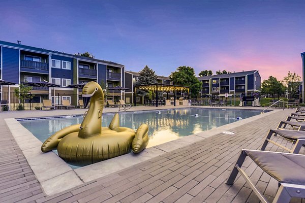 Relaxing poolside area at Park Place at 92nd Apartments featuring lounge chairs and modern landscaping