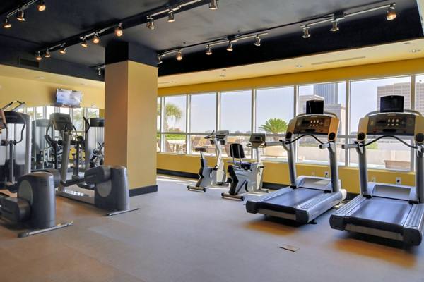 fitness center at Dominion Post Oak Apartments